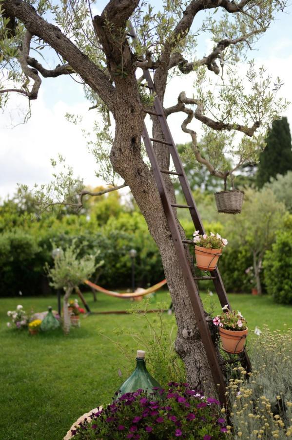 Villa Trullo Rinaldi Castellana Grotte Esterno foto